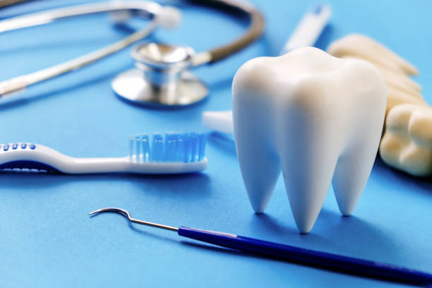 Our Range of Dental Services in Manistique, MI